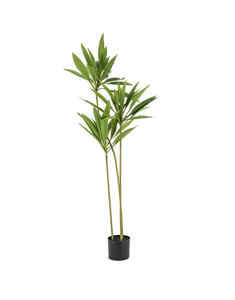 Kunstplant Cordyline 140cm