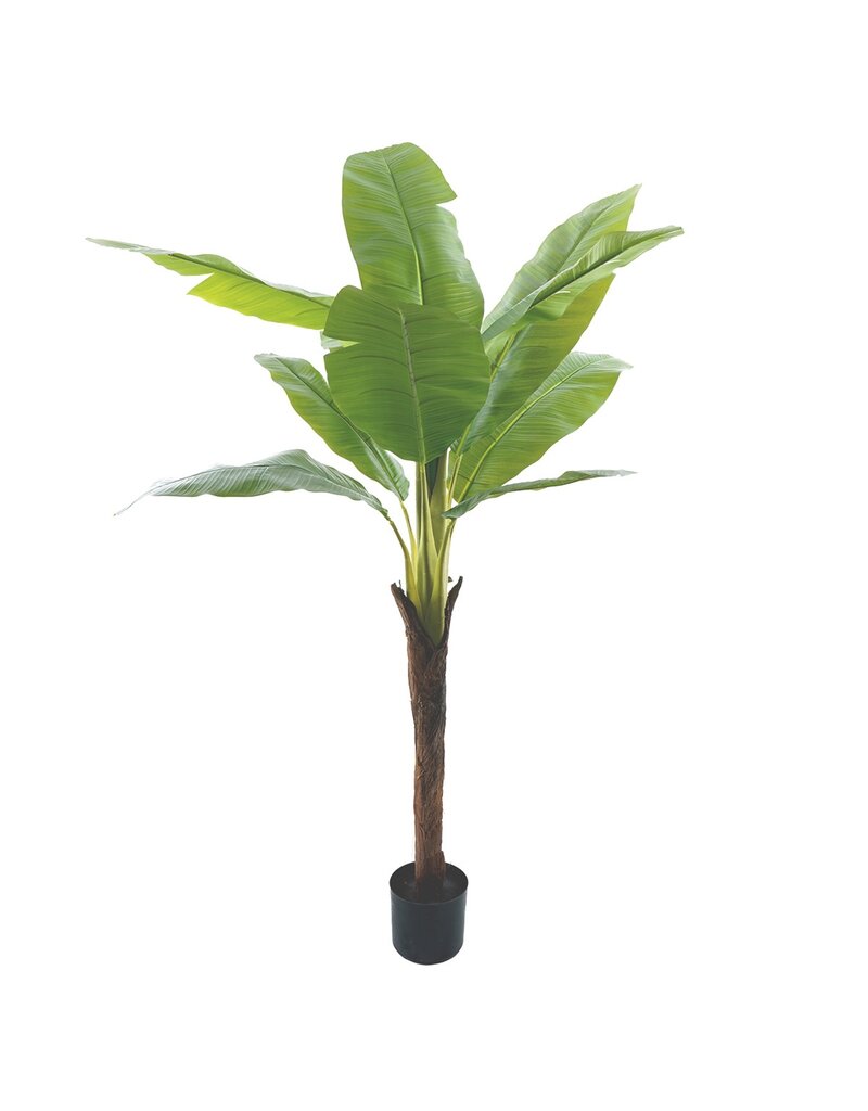 Kunstplant bananenboom 180cm