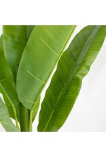 Kunstplant bananenboom 180cm