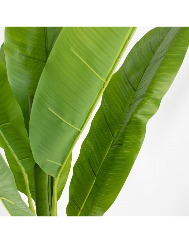 Kunstplant bananenboom 180cm