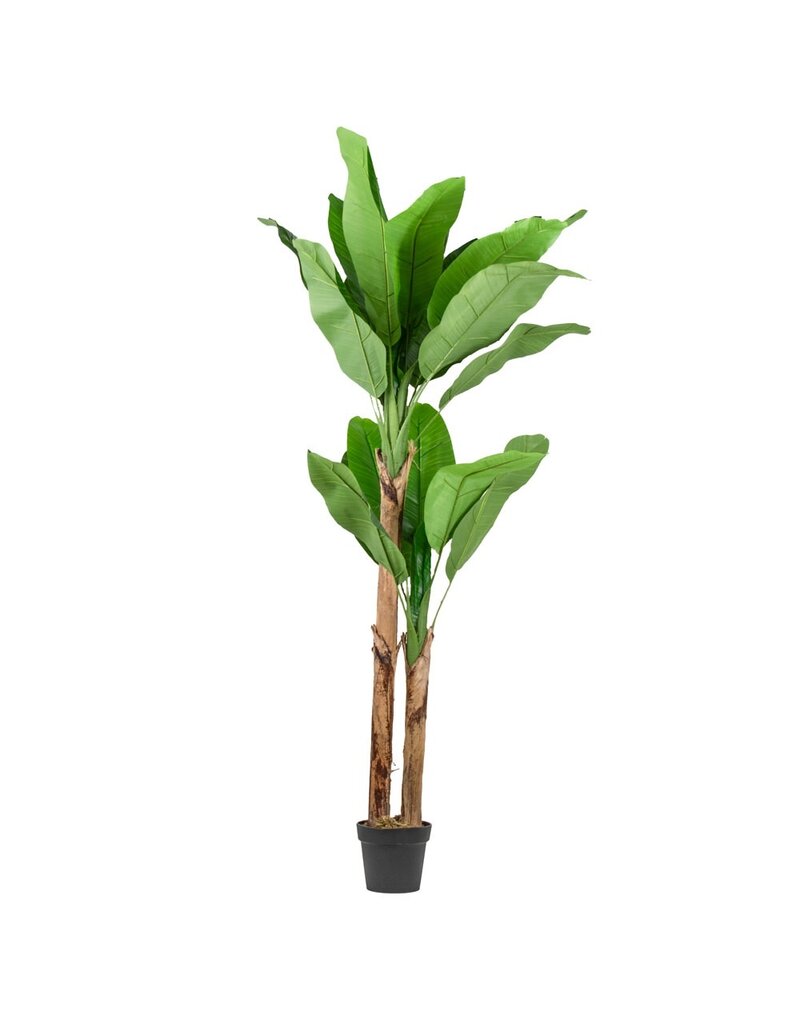 Kunstplant bananenboom 180cm