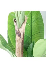 Kunstplant bananenboom 180cm
