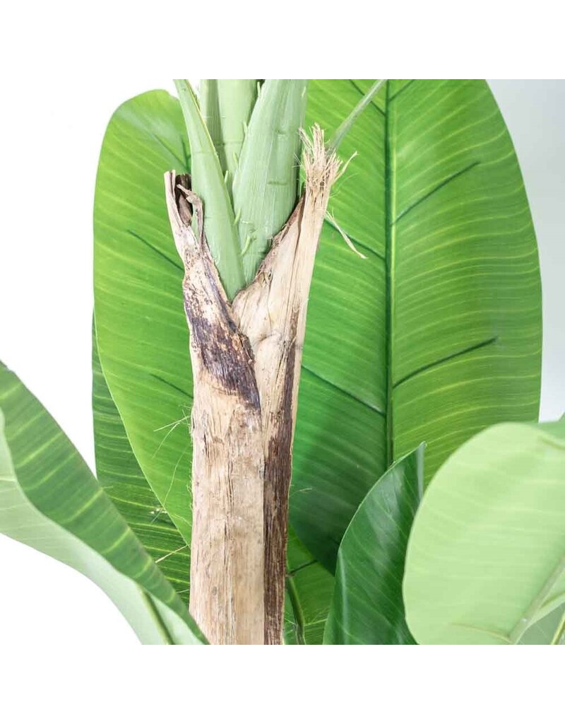 Kunstplant bananenboom 180cm