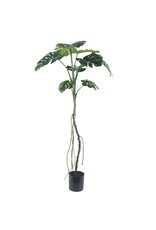 Kunstplant Monstera op stam 180cm