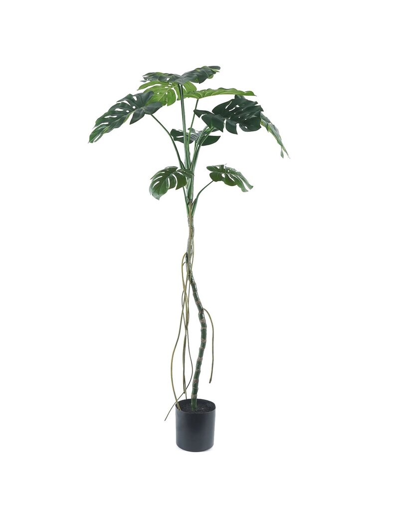 Kunstplant Monstera op stam 180cm