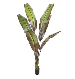 Kunstplant Japanse bananenboom 190cm