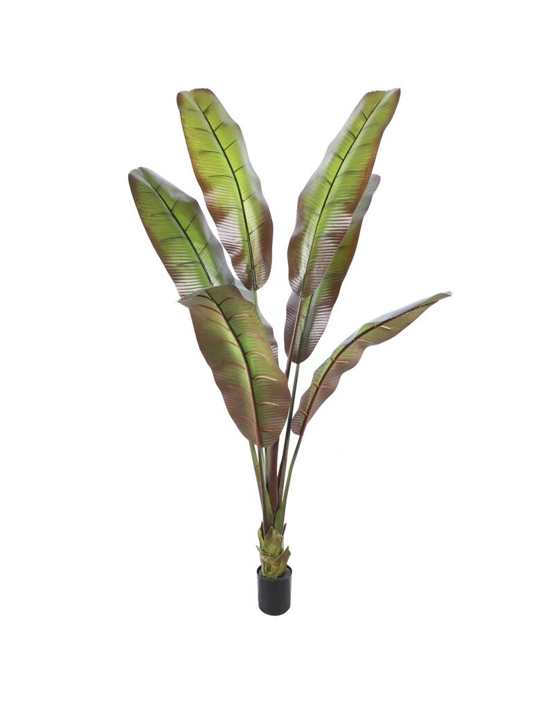 Kunstplant Japanse bananenboom 190cm