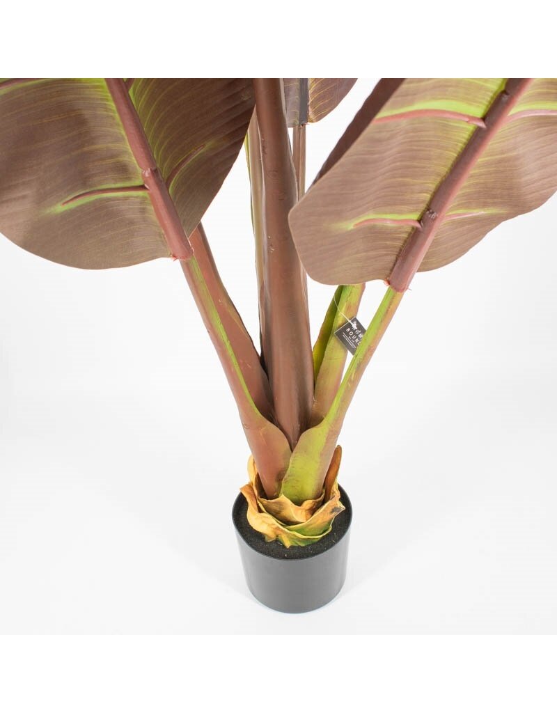 Kunstplant Japanse bananenboom 190cm
