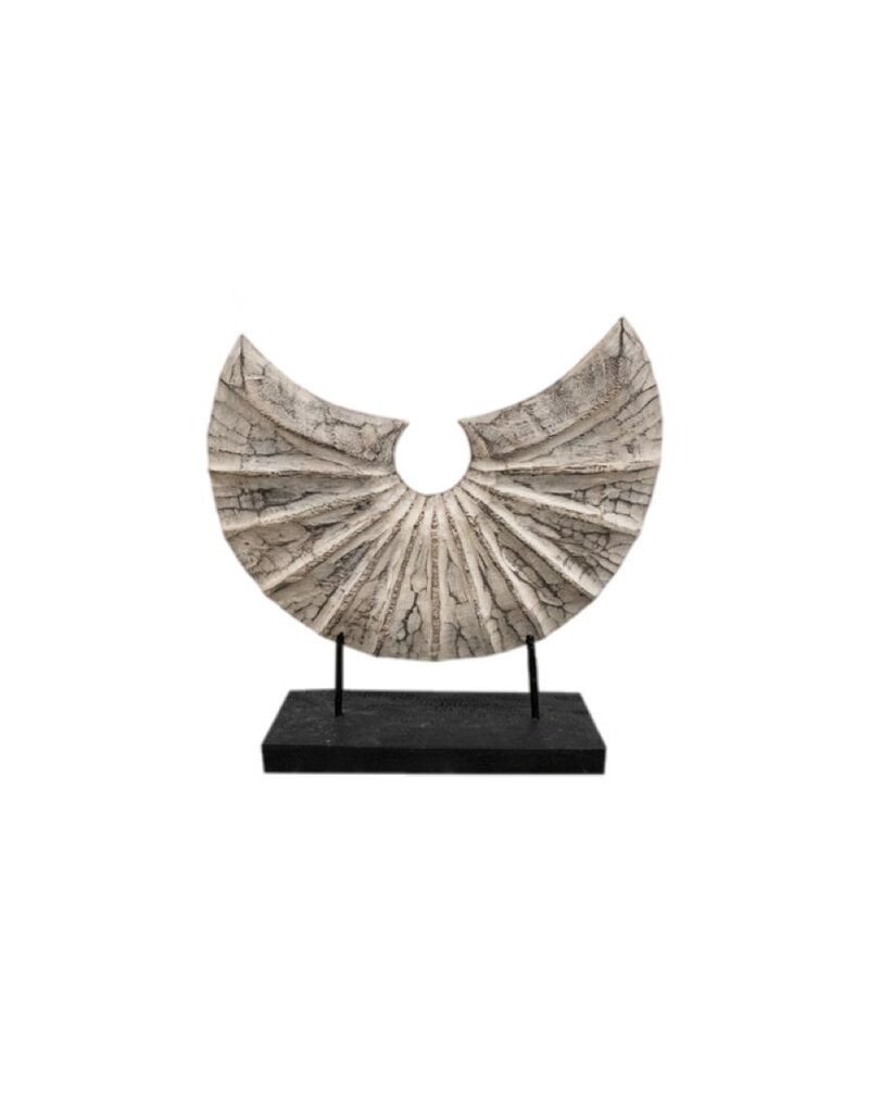 Damn Ornament halve schelp M