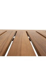 Damn Borneo Dining Tafel 250