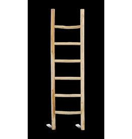 Damn Ladder Rond Barney