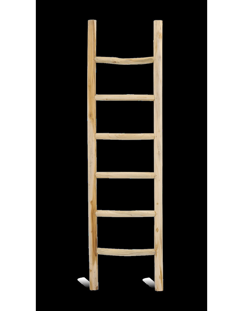Damn Ladder Rond Barney