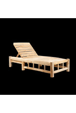 Damn Ligstoel met Wielen Barney Teak