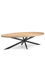 Damn Eetkamertafel Ellips 25+25 300