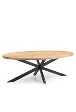 Damn Eetkamertafel Ellips 25+25 240