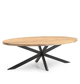 Damn Eetkamertafel Ellips 25+25 240