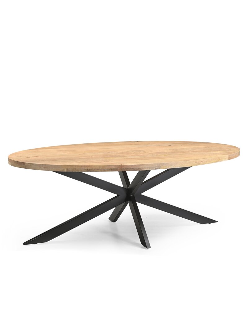 Damn Eetkamertafel Ellips 25+25 240
