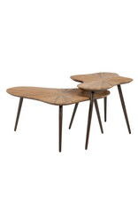 Damn Loma ( set of 2)