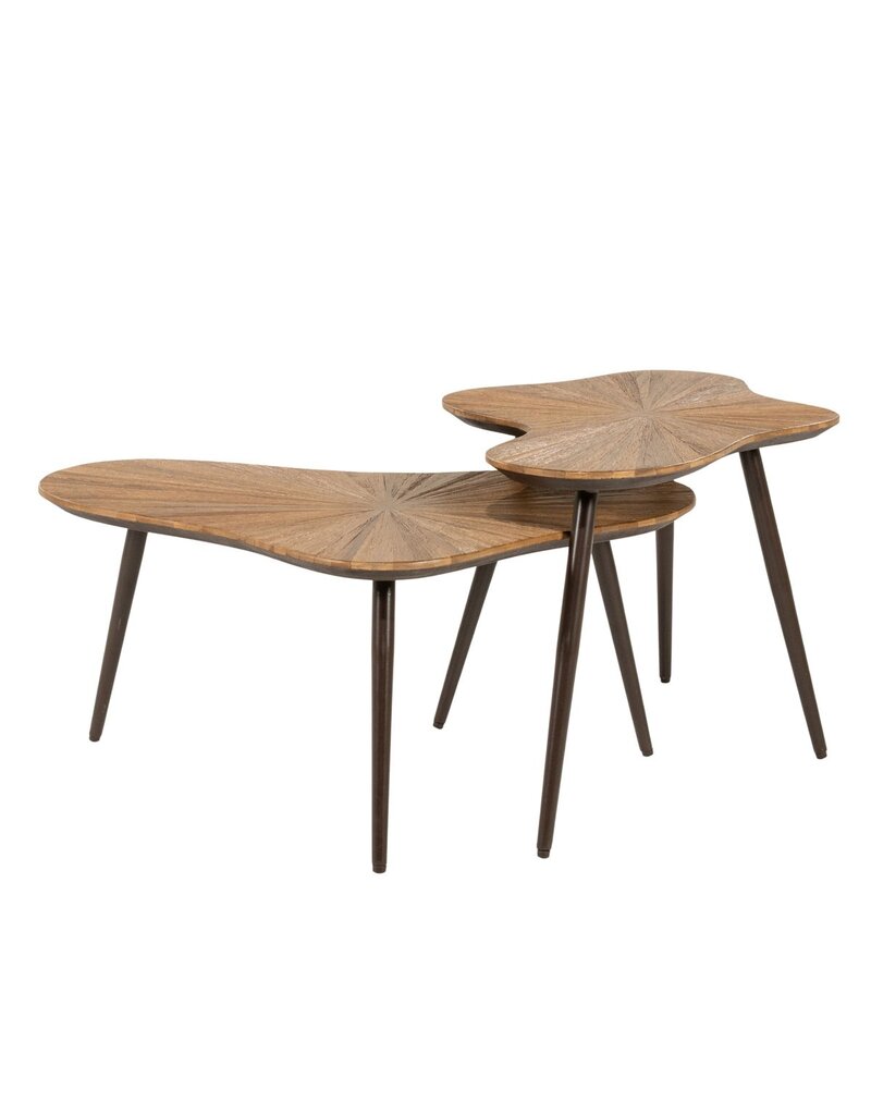 Damn Loma ( set of 2)