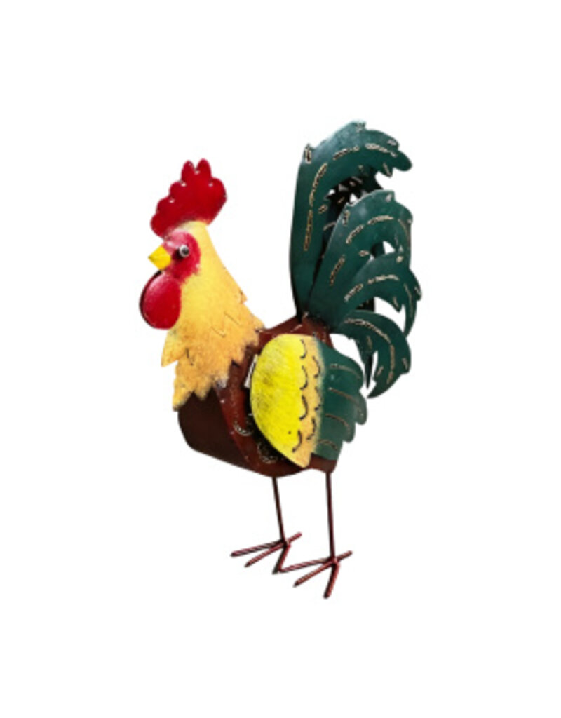 Damn Rooster KP colors
