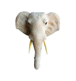 Damn Elephant head XL H68