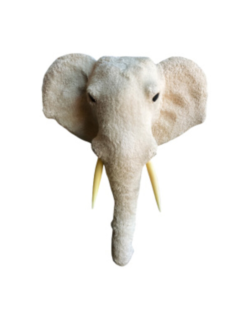 Damn Elephant head XL H68