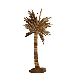 Damn Palmtree driftw. H75cm