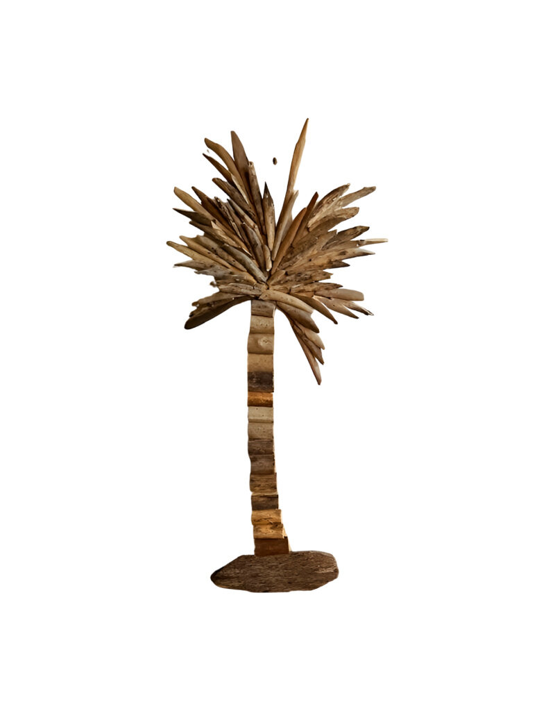Damn Palmtree driftw. H75cm