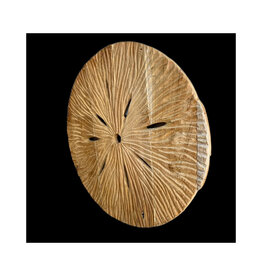 Damn Deco sun teak D80cm