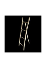 Damn Ladder rack