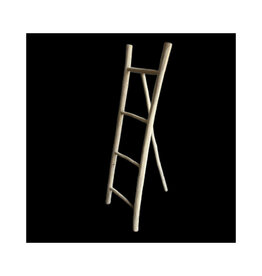 Damn Ladder rack