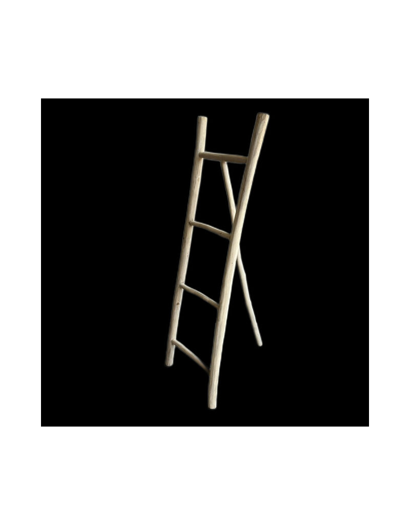 Damn Ladder rack