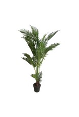 Damn Plant varen 150cm