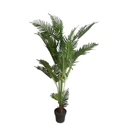 Damn Plant varen 150cm