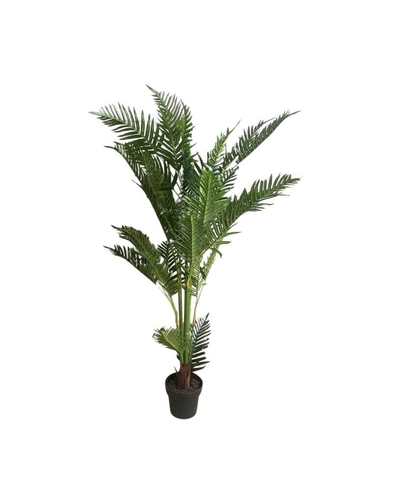 Damn Plant varen 150cm