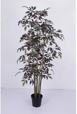 Damn Kunstboom Crenata real touch 200cm