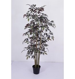 Damn Kunstboom Crenata real touch 200cm