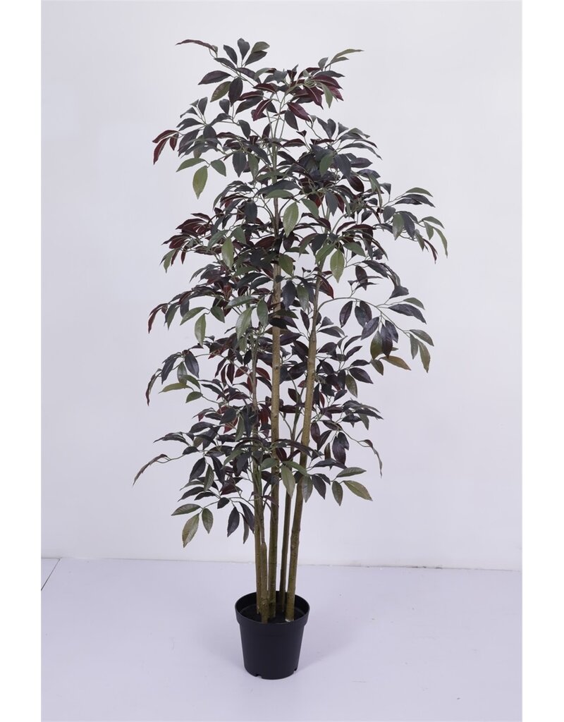 Damn Kunstboom Crenata real touch 200cm