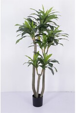 Damn Kunstboom Dracaena real touch 185cm