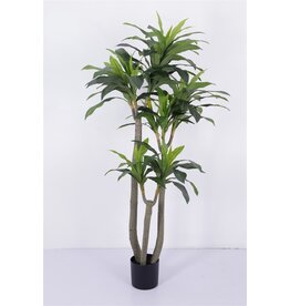 Damn Kunstboom Dracaena real touch 185cm