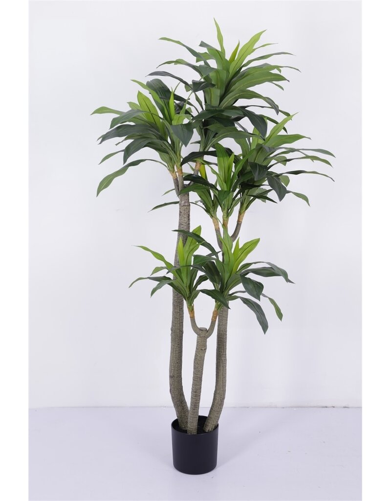 Damn Kunstboom Dracaena real touch 185cm
