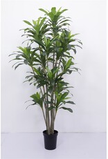 Damn Kunstboom Dracaena real touch 250cm