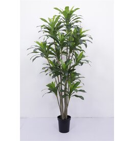 Damn Kunstboom Dracaena real touch 250cm