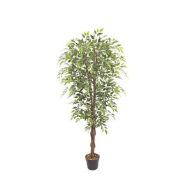 Damn Kunstboom Fica ficus 10cm