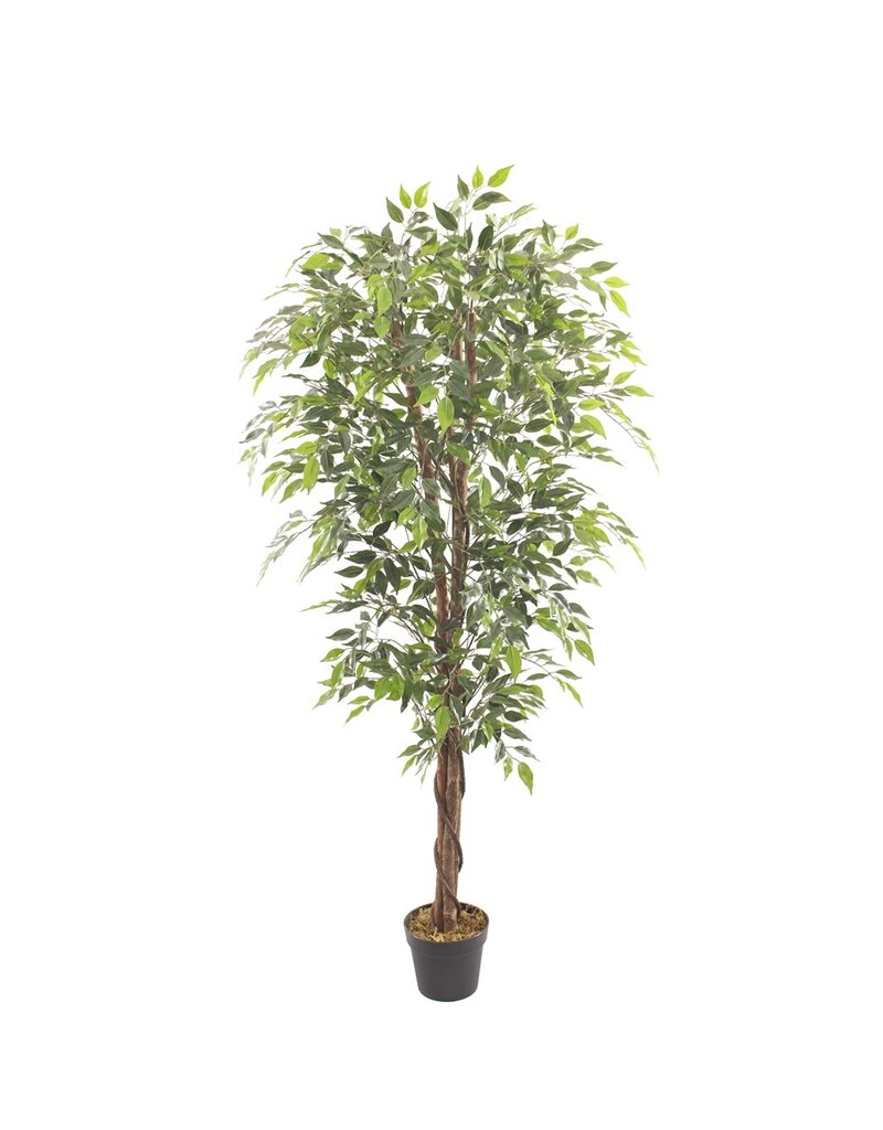 Damn Kunstboom Fica ficus 10cm