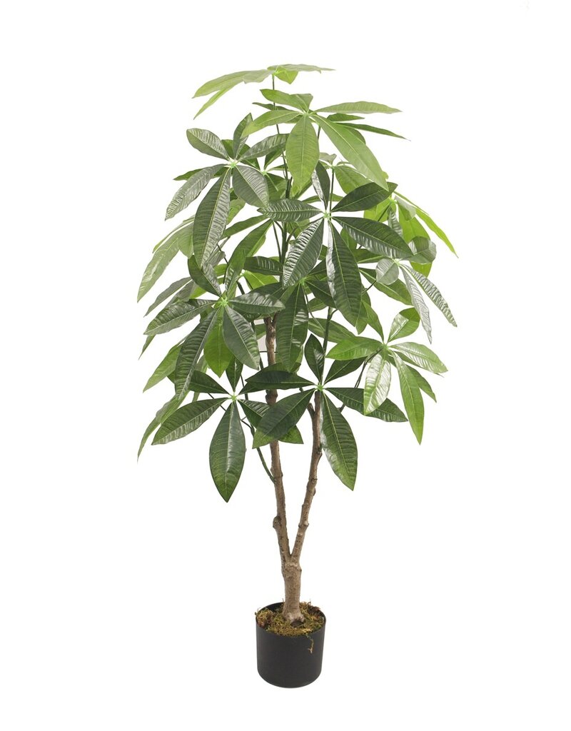 Damn Kunstboom Fortune geluksplant 125cm