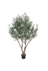Damn Kunstboom Olea olijf 180cm