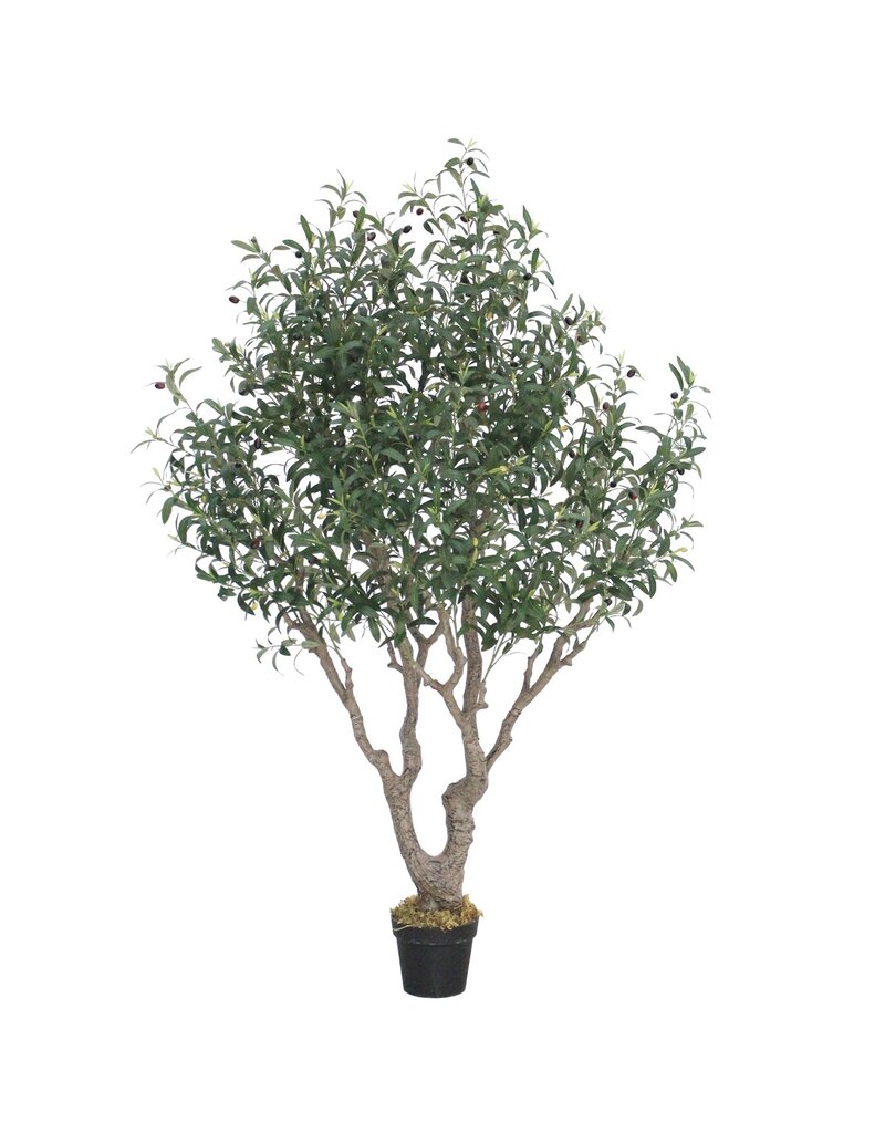 Damn Kunstboom Olea olijf 180cm