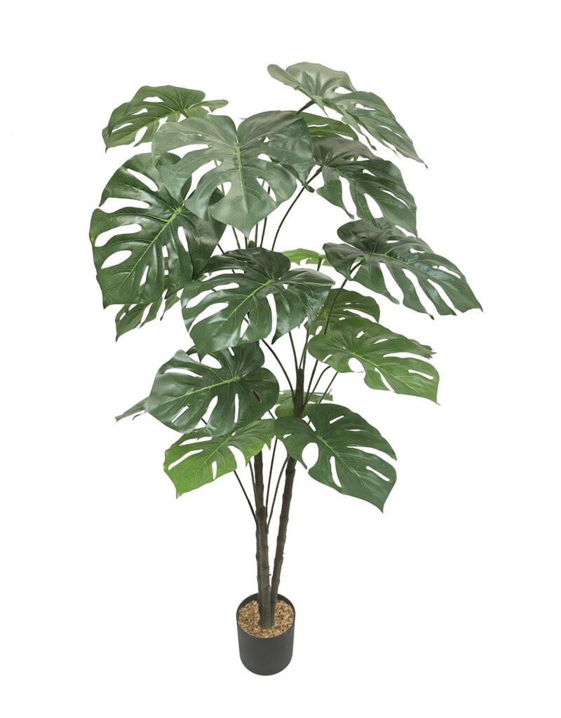 Damn Kunstplant Deli monstera 150cm