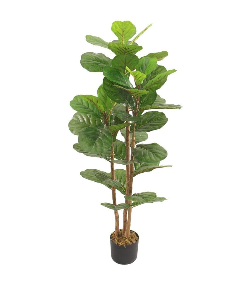 Damn Kunstplant Fiddle ficus lyrata 120cm
